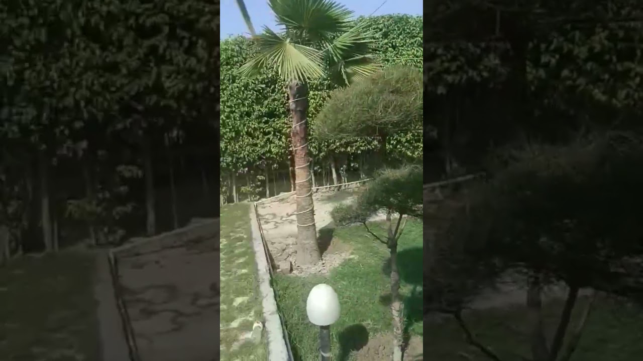 Registered Farmhouses in Noida 150.    