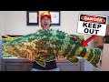 UNBOXING THE WORLD'S BIGGEST FISH... (what's inside?)