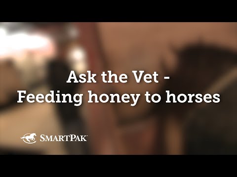 Ask the Vet - Feeding honey to horses