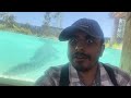 Having Fun at SYDNEY ZOO