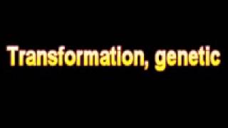 What Is The Definition Of Transformation, genetic