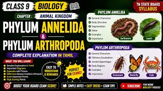 Phylum Annelida & Arthropoda Explained in Tamil | Animal Kingdom | Class 9 Biology | TN State Board