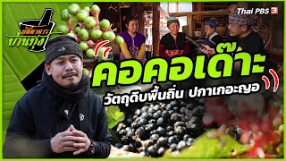 คอคอเด๊าะ | ภัตตาคารบ้านทุ่ง