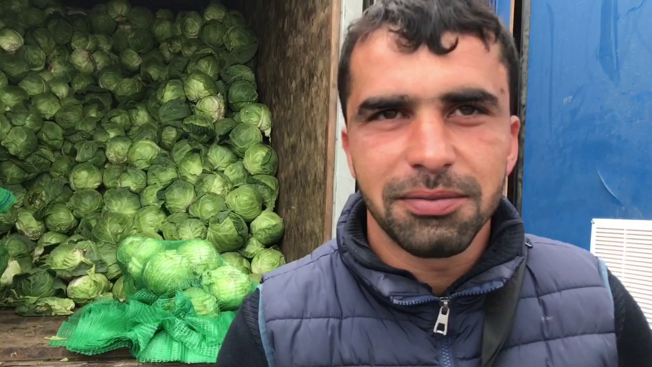 Капуста белокочанная. Польза для беременных. Рецепты. Калорийность ...