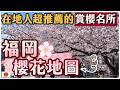 在地人帶路 | 福岡賞櫻全攻略2026 🌸 | 不能錯過的夢幻櫻花景點