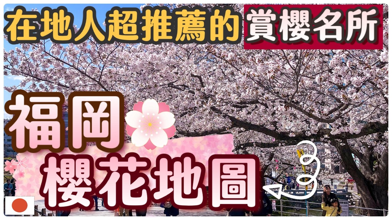 在地人帶路 | 福岡賞櫻全攻略2026 🌸 | 不能錯過的夢幻櫻花景點