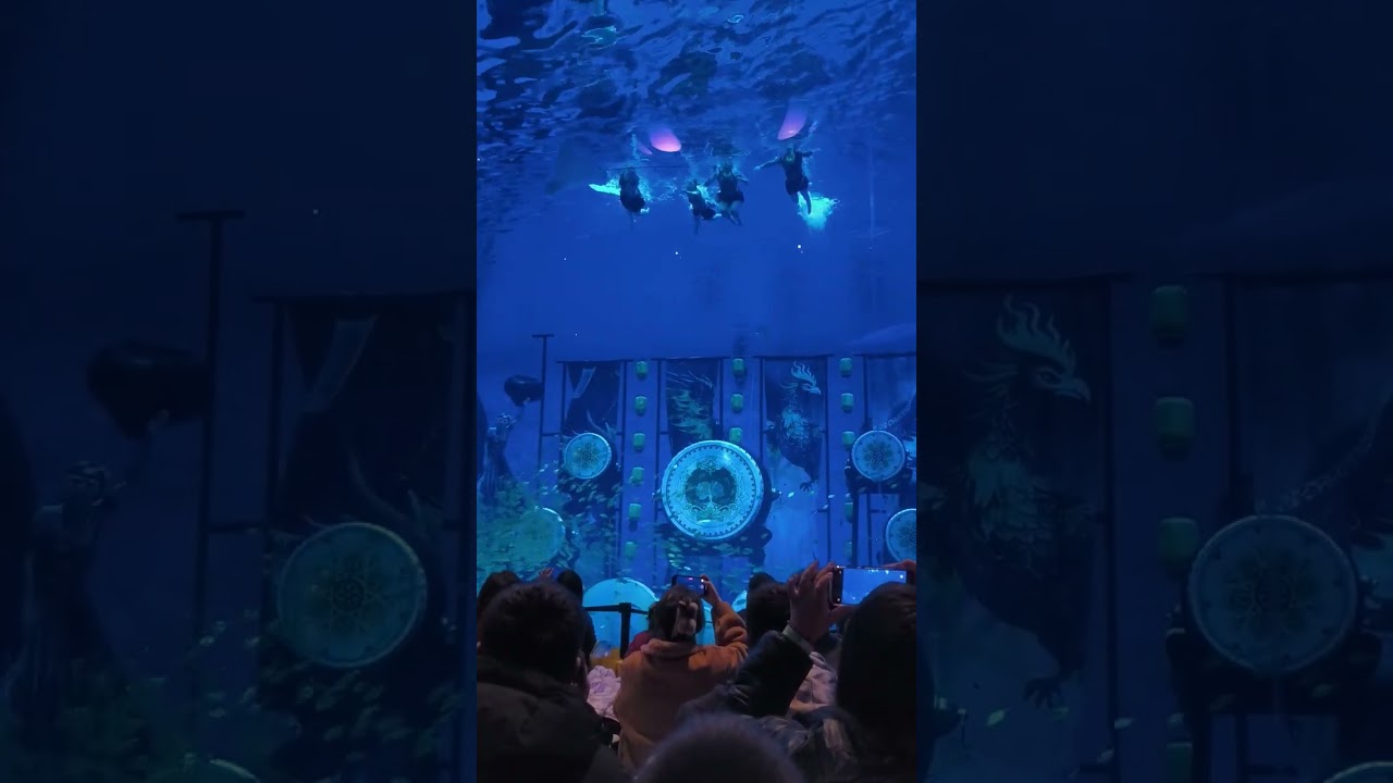 海昌公園人魚表演