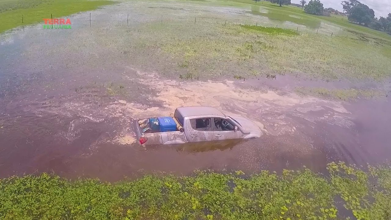 TERRA PECUÁRIA - TRAVESSIA DA NHECOLÂNDIA