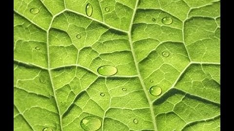 Photoshop cs6,Water drop bangla tutorial