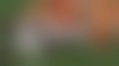 Giants VS Nationals Bryce Harper & Hunter Strickland Fight