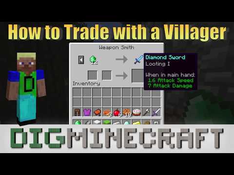 Villager In Minecraft