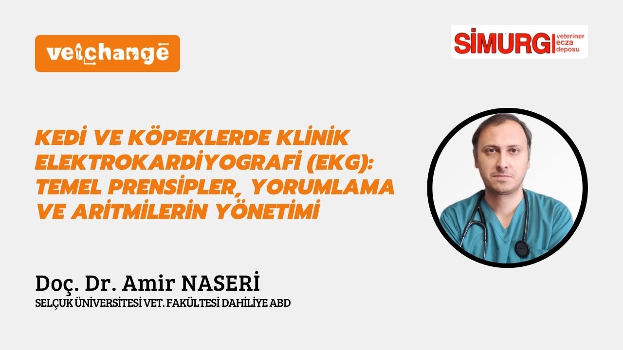 Kedi Ve Köpeklerde Klinik Elektrokardiyogrofi (EKG)