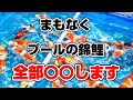 【ガチ準備】錦鯉を売るためにヤマトと契約してきた結果…