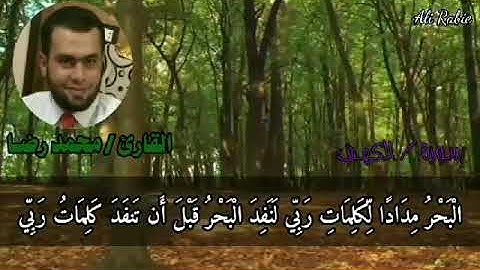 تلاوة رائعة من سورة الكهف بصوت الشيخ محمد رضا عبد الكريم 