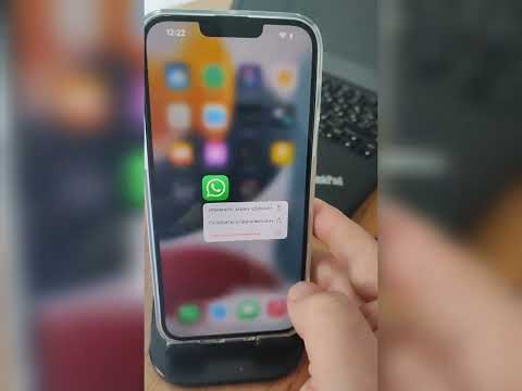 Как перености данные WhatsApp с android в iOS. Перенос чатов и переписки на новый iPhone.