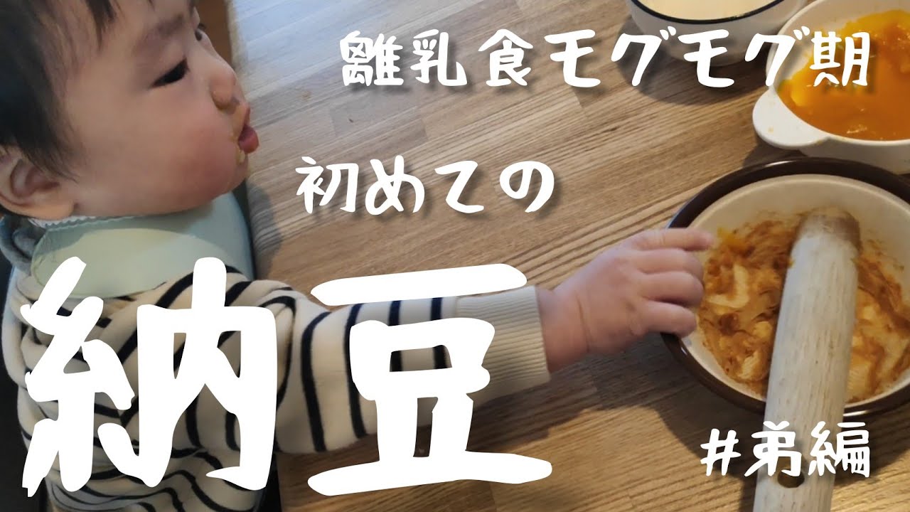 育児 離乳食モグモグ期 初めて納豆を食べる 生後8ヶ月 弟 Youtube