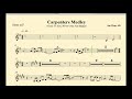 Carpenters medley french horn play along