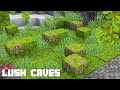 Lush Caves, New Textures and More! | 21w10a Snapshot