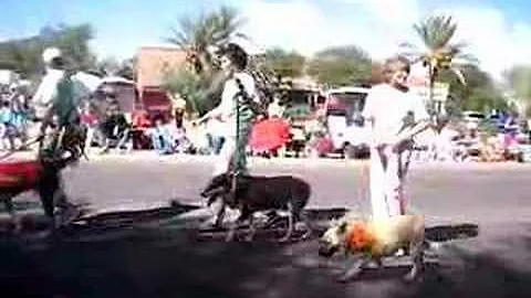 TALGV in White Elephant Parade