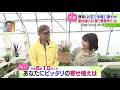 始めるならまさに今！家計を助ける家庭菜園【どさんこワイド179】 2026-05-07