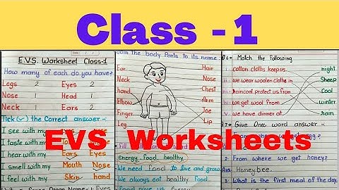 Class 1st EVS Worksheet /EVS Worksheet for class  1 /Class 1 EVS