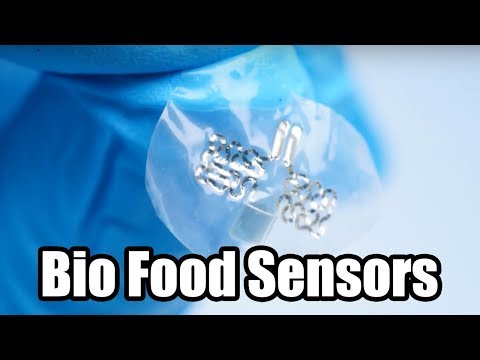 Bio Food Sensors