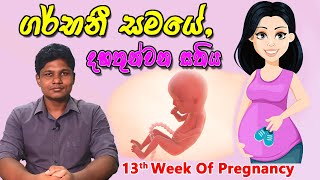 Pregnancy 13th Week | Sinhala Medical Review | අම්මයි බබයි screenshot 5