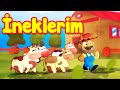 Neklerim  cennet kular bebek  trke  