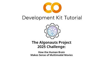The Algonauts Project 2025 Challenge: Development Kit Tutorial