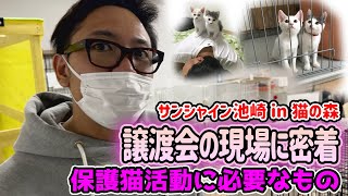 池崎が猫の森を訪問保護猫譲渡会の様子を見てきました猫おじさん新企画始動子供たちへの命の教育