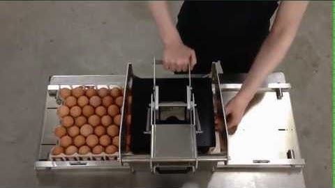 Egg coding EggFlex HeDiPack handsystem for Jamesway 84 and 30-er trays