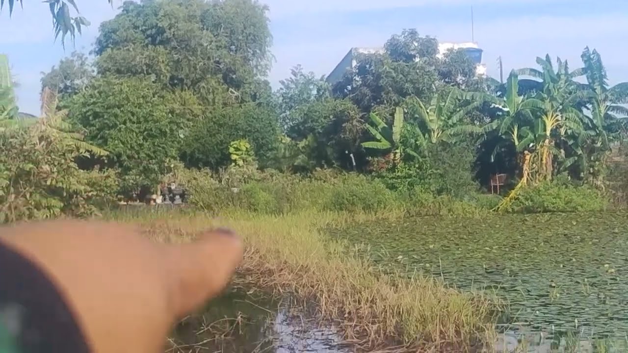 Uma voltinha no paraíso das rosas do deserto