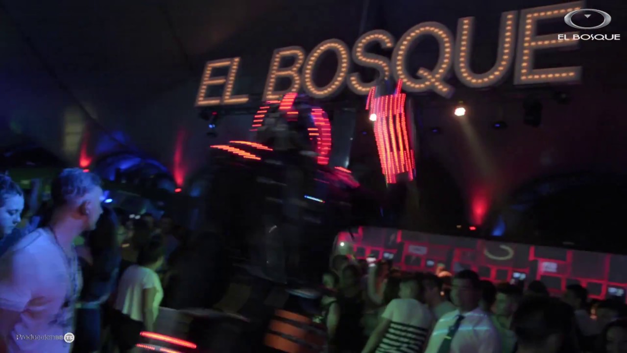 El Bosque quilmes Shows Luminicos YouTube