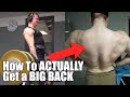 How To ACTUALLY Get A Big Back