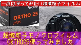 【モノクロフイルム】魅惑の超微粒子フイルム、ローライORTHO25を使ってみました