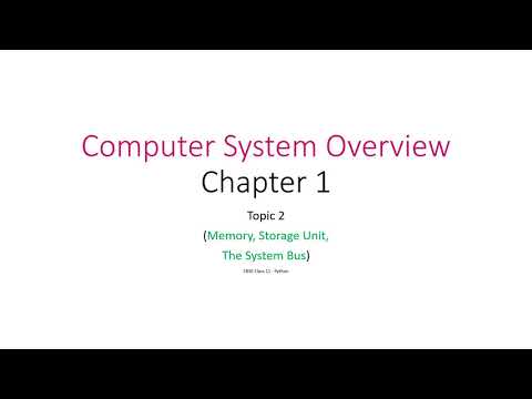 CBSE Class 11 Computer System Overview Chapter 1 Topic 2 - YouTube