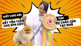 Cách chải lông cho chó phốc sóc chuyên nghiệp như đi spa | Bánh Bò Pomeranian Vlog 32