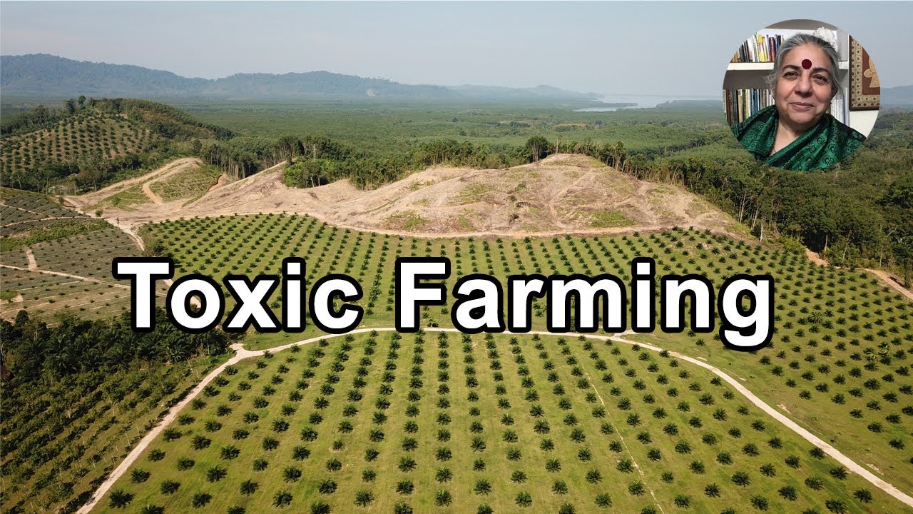 Forests Are Being Converted Into Toxic Farming -  Vandana Shiva, PhD