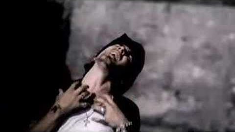 Bashua Inc. - Fallin