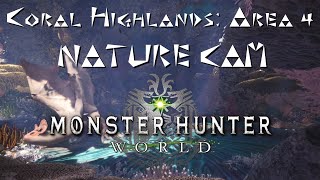 MHW: Coral Highlands Area 4 Nature Cam