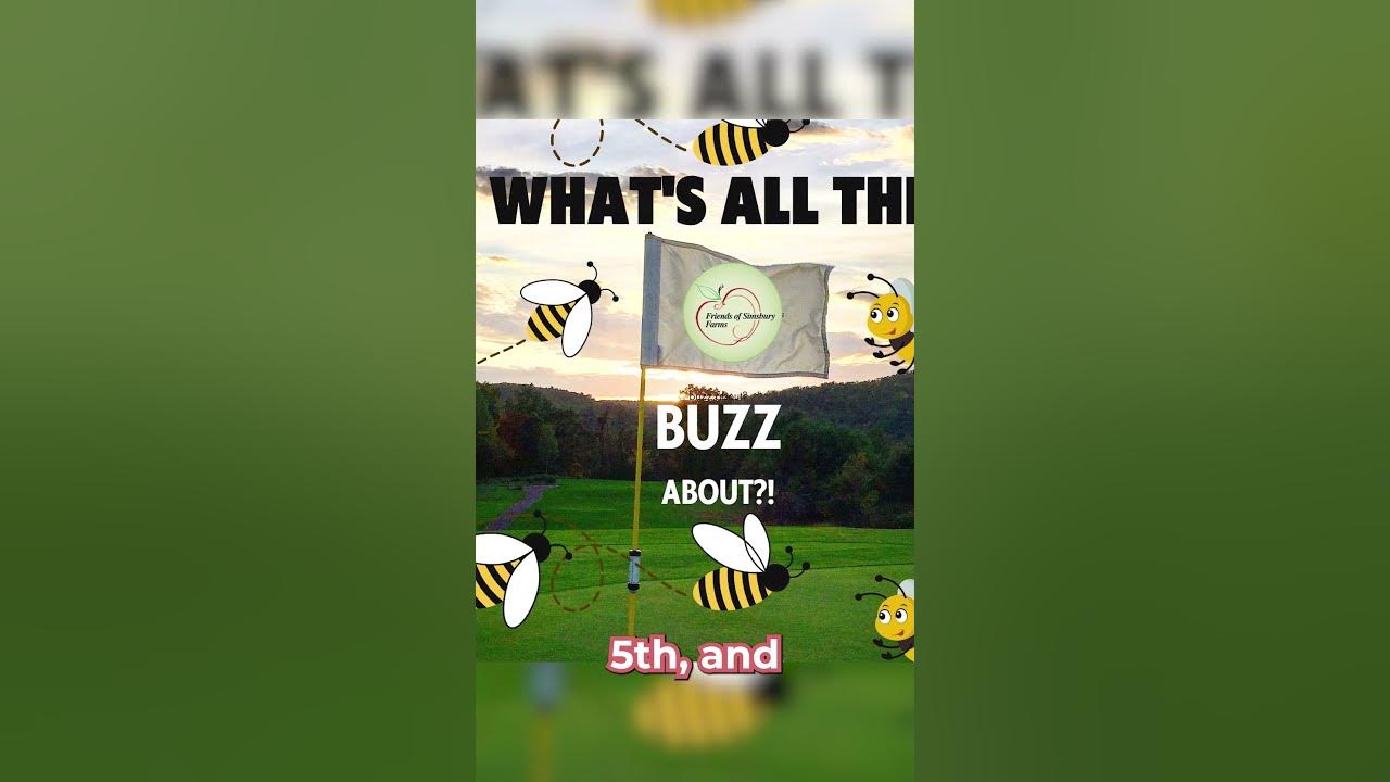 Simsbury Connecticut Community Calendar September 4, 2023 YouTube