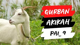 Kurban dan Akikah || Bersyukur dengan Akikah,Peduli Sesama dengan Berkurban || PAI SMP kelas 9