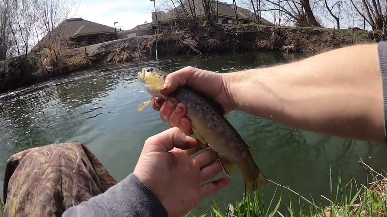 Fishing Hobble Creek Utah