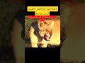 لماذا حرم الله القمار والميسر أسرار تحريم الميسر في الإسلام المال الحرام أسباب صادمة