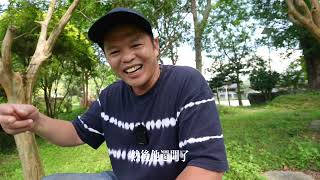 我的美股又大漲啦！看我賺了多少錢？為信仰投資，終將到達理想目標
