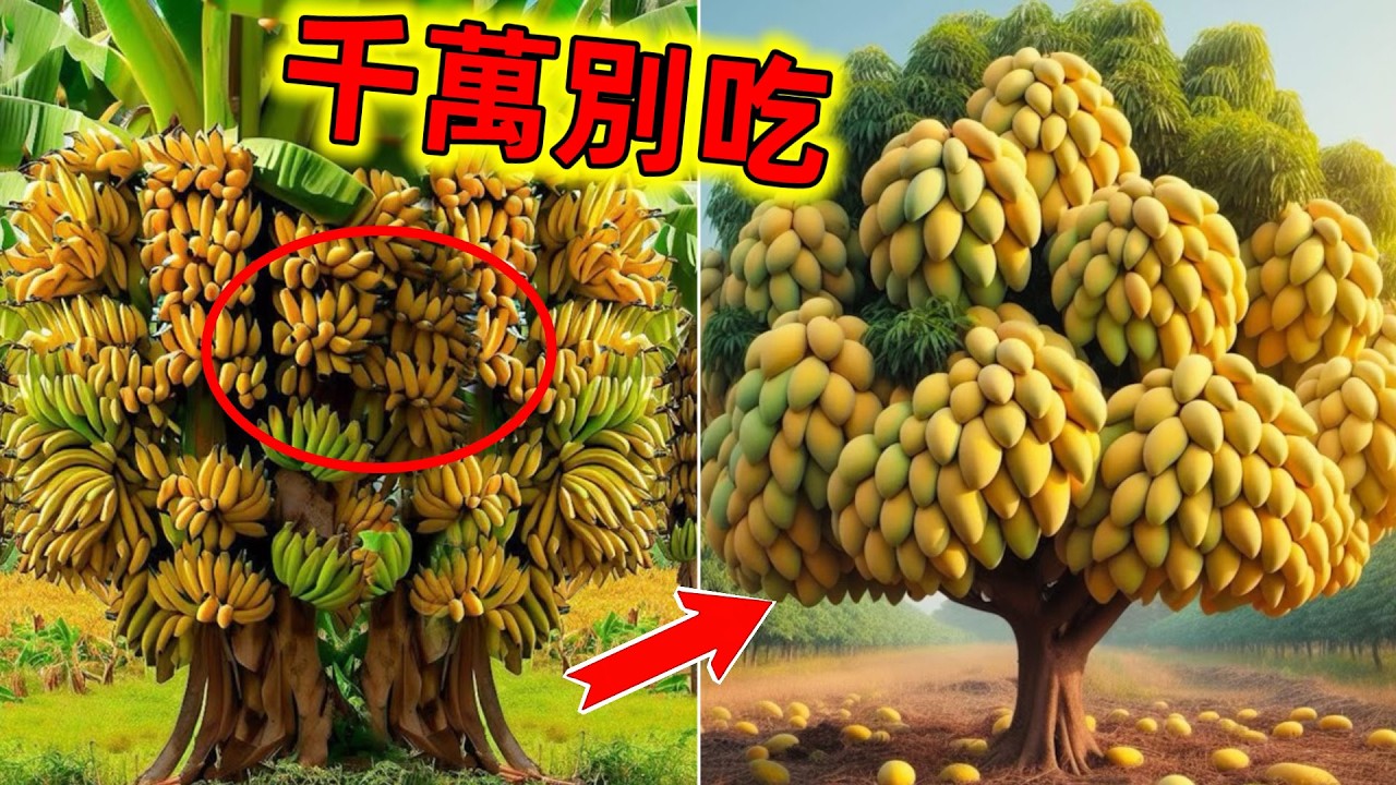 一定要小心！千萬不要誤食這些水果，這些有毒的水果就在我們身邊#世界最毒的水果 #有毒的水果 #水果 #有毒的果實 #世界之最 #老王看世界