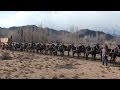 History Being Made!  The 20 Mules Hitched to the New Borax Wagons