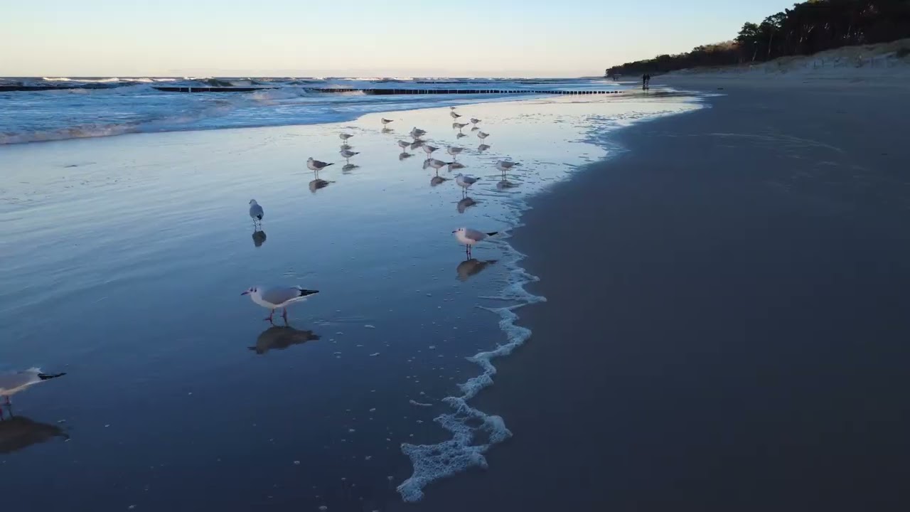 Morze Bałtyckie, sztorm w Dźwirzynie 
