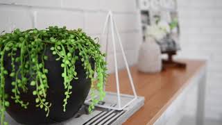 6 Baslow Court, Carine - Captivating Family Home! 6 Baslow Court, Carine - Captivating Family Home!