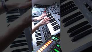 Funk Bass & Chords with Prophet Rev2, Pro-3 & TR-8